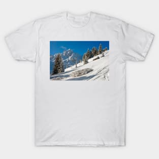 Courchevel 1850 3 Valleys French Alps France T-Shirt